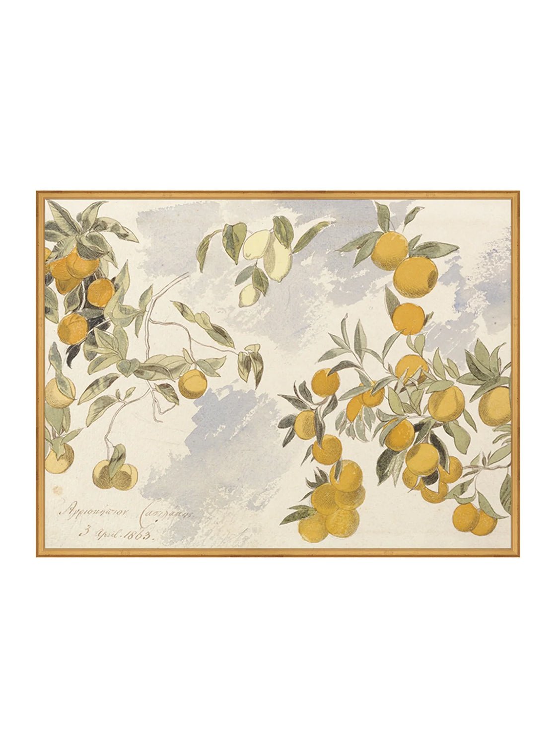 Orangerie Art Print Watercolor Oranges Illustration With Ripe Citrus On Branches Against Soft Background