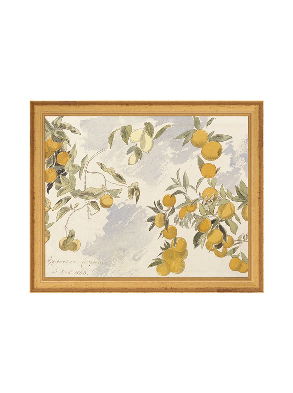 Orangerie Art Print Watercolor Oranges Illustration With Ripe Citrus On Branches Against Soft Background