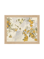 Orangerie Art Print Watercolor Oranges Illustration With Ripe Citrus On Branches Against Soft Background