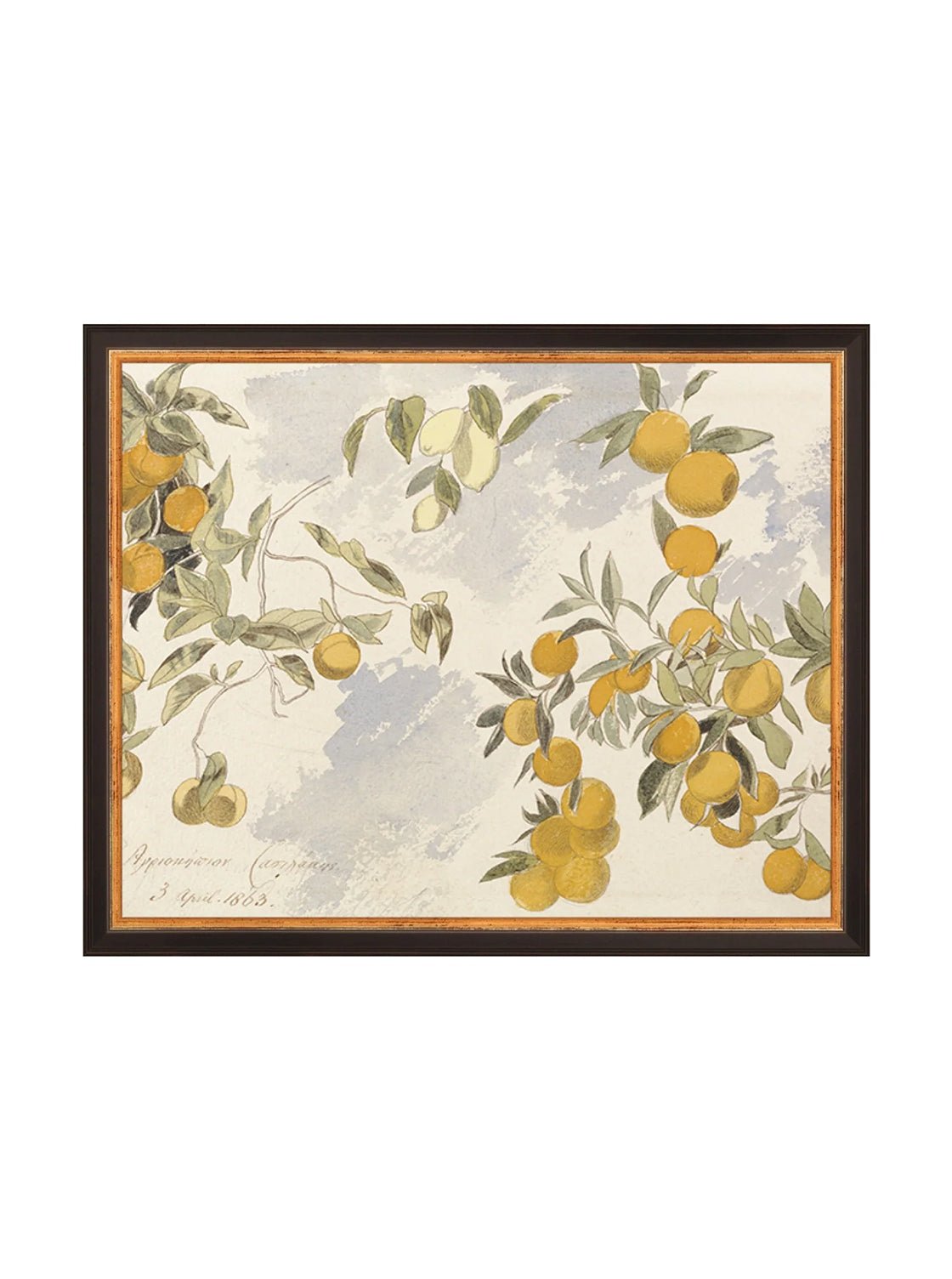Orangerie Art Print Watercolor Oranges Illustration With Ripe Citrus On Branches Against Soft Background