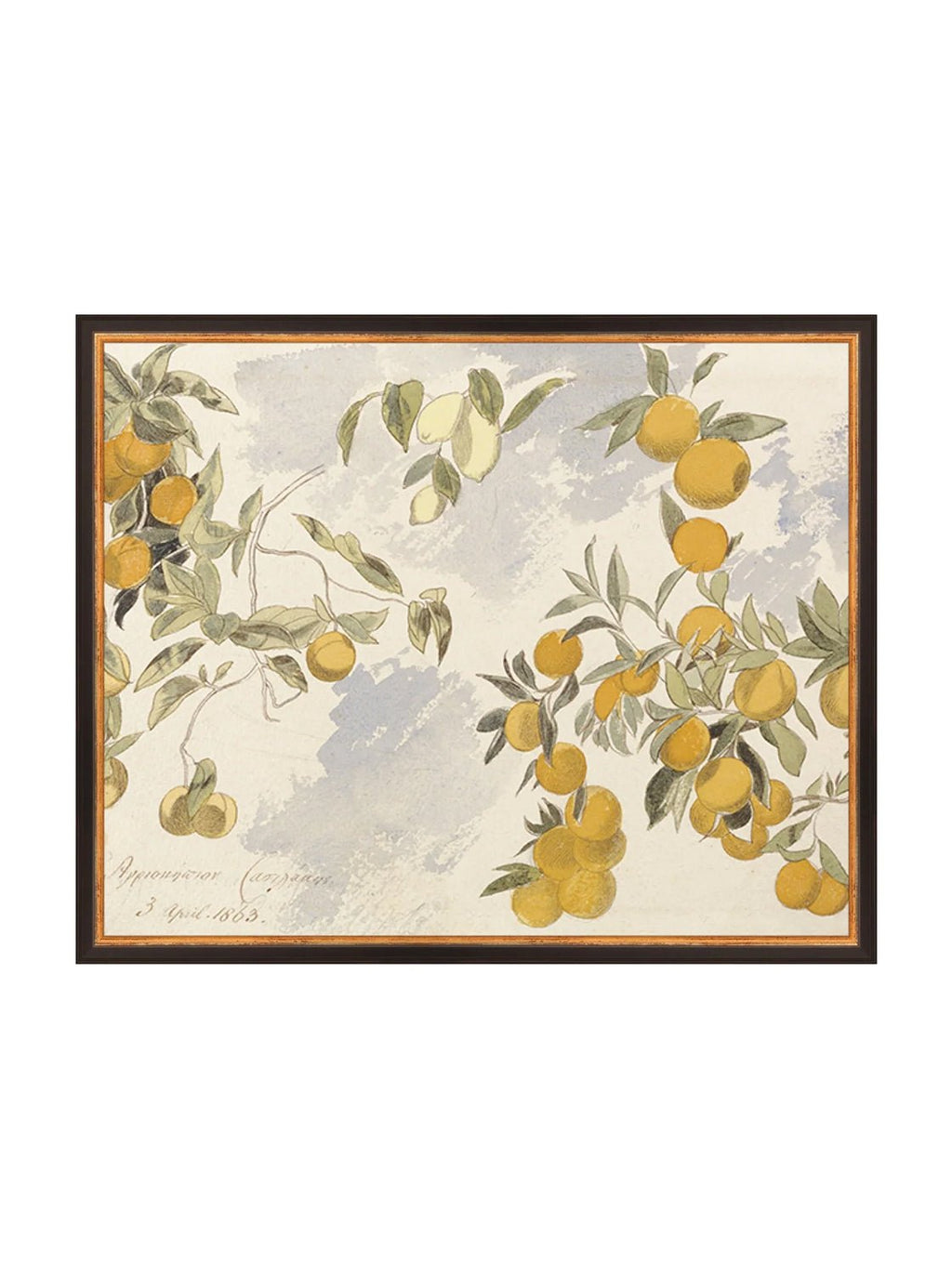 Orangerie Art Print Watercolor Oranges Illustration With Ripe Citrus On Branches Against Soft Background