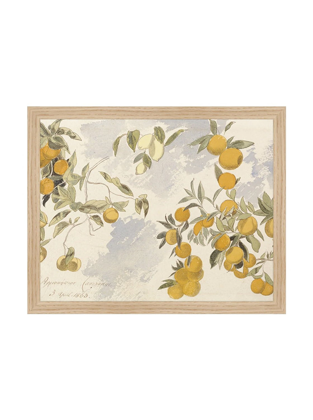 Orangerie Art Print Watercolor Oranges Illustration With Ripe Citrus On Branches Against Soft Background