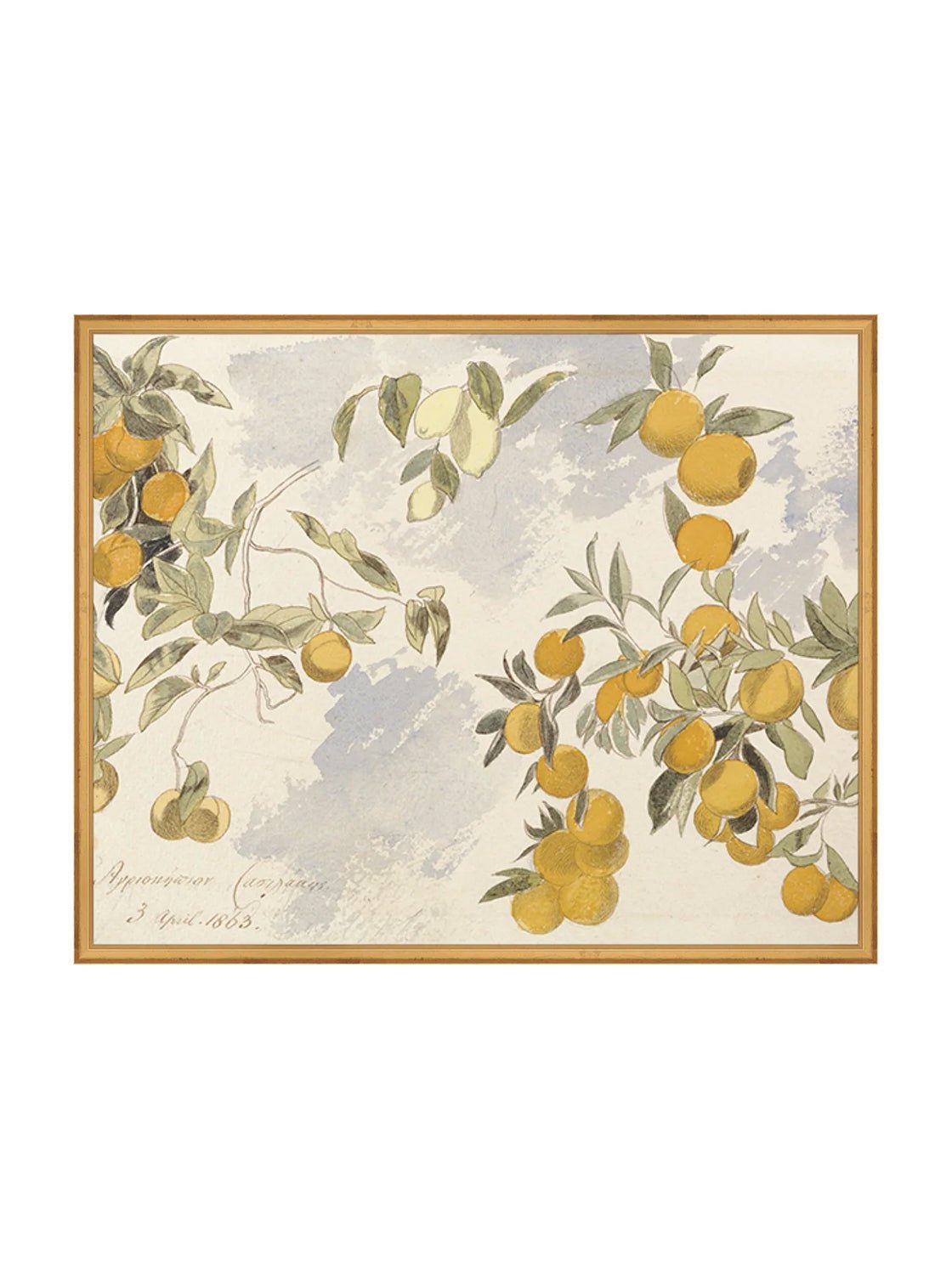Orangerie Art Print Watercolor Oranges Illustration With Ripe Citrus On Branches Against Soft Background
