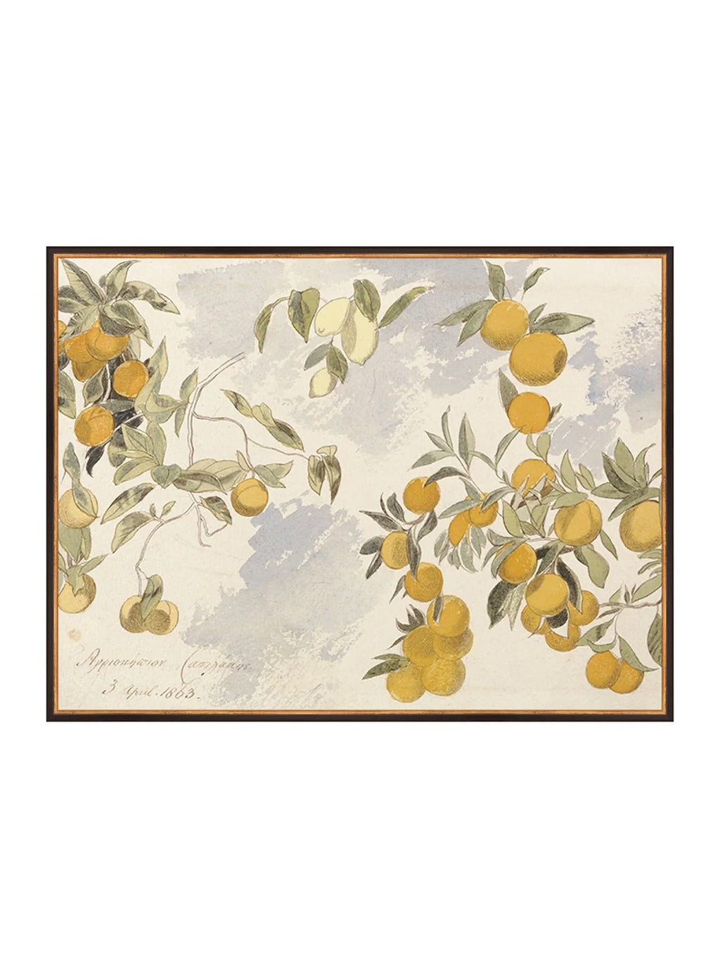 Orangerie Art Print Watercolor Oranges Illustration With Ripe Citrus On Branches Against Soft Background