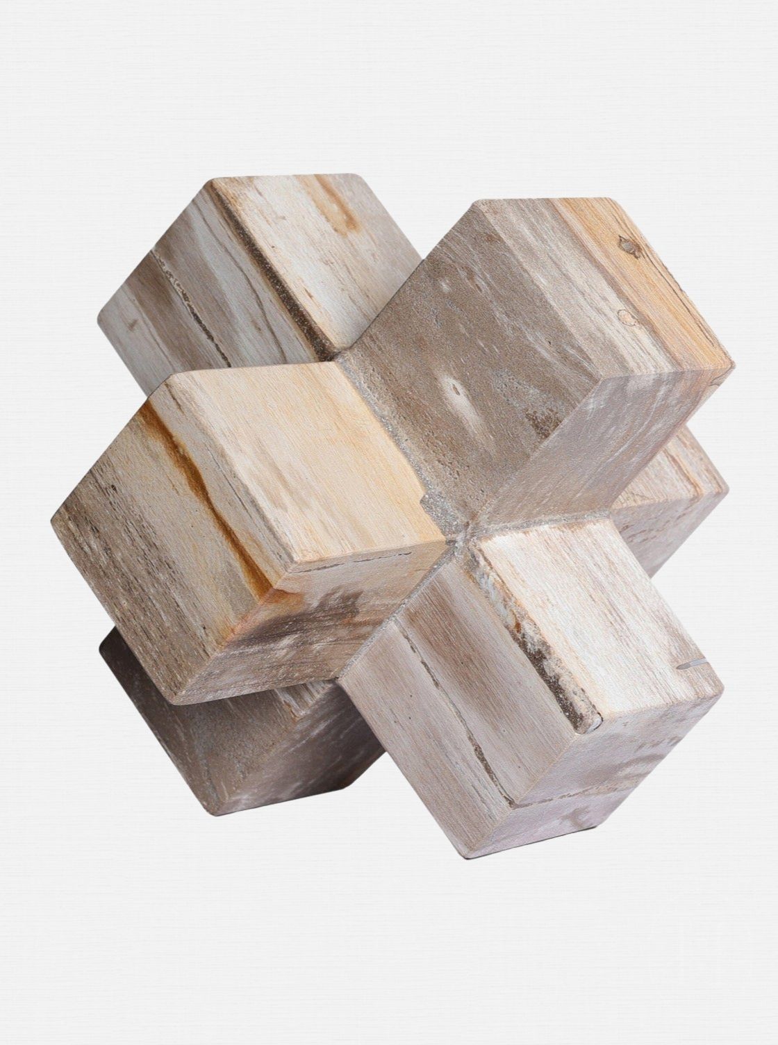 Jack de bois pétrifié