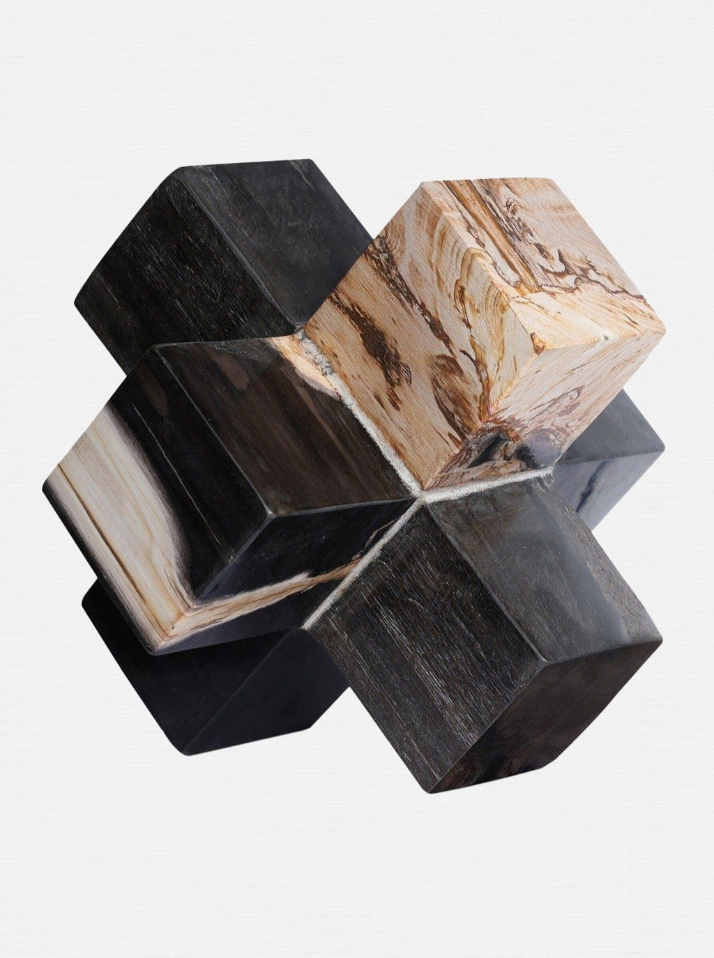 Jack de bois pétrifié