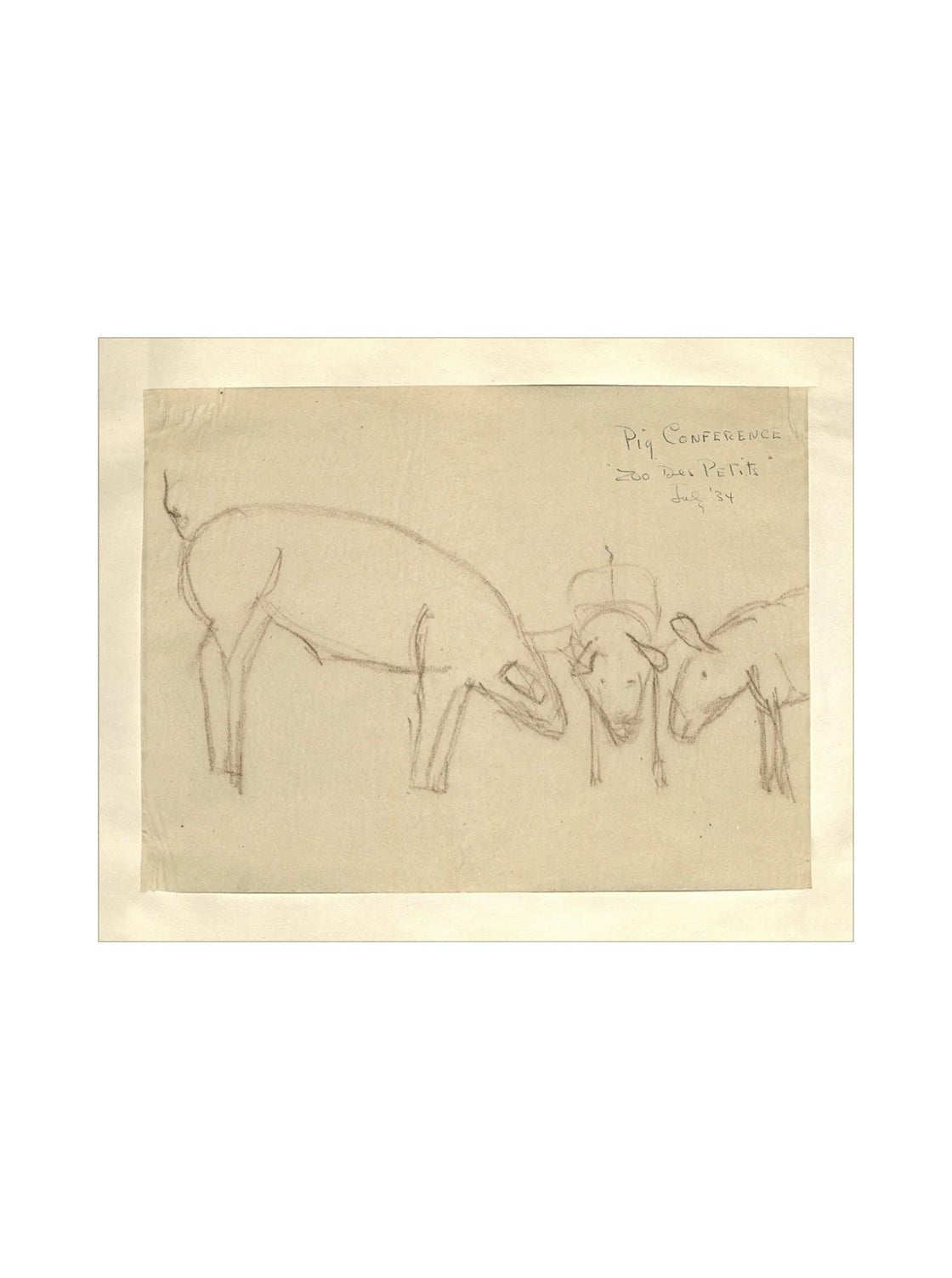 Croquis de cochon
