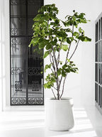 Figuier artificiel en pot de 93 pouces