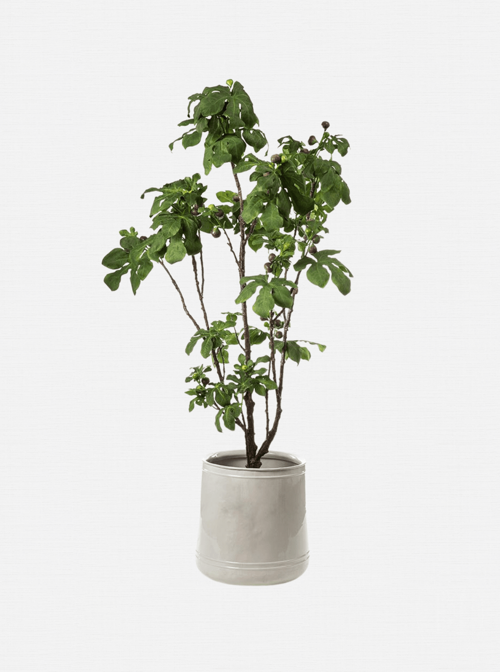 Figuier artificiel en pot de 93 pouces