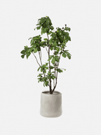 Figuier artificiel en pot de 93 pouces