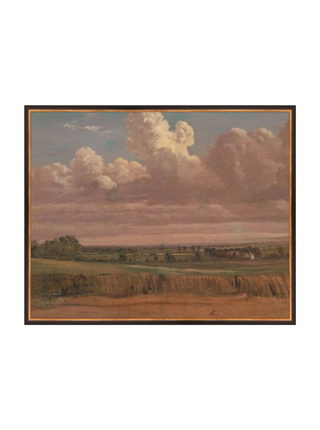 Prairie au crépuscule
