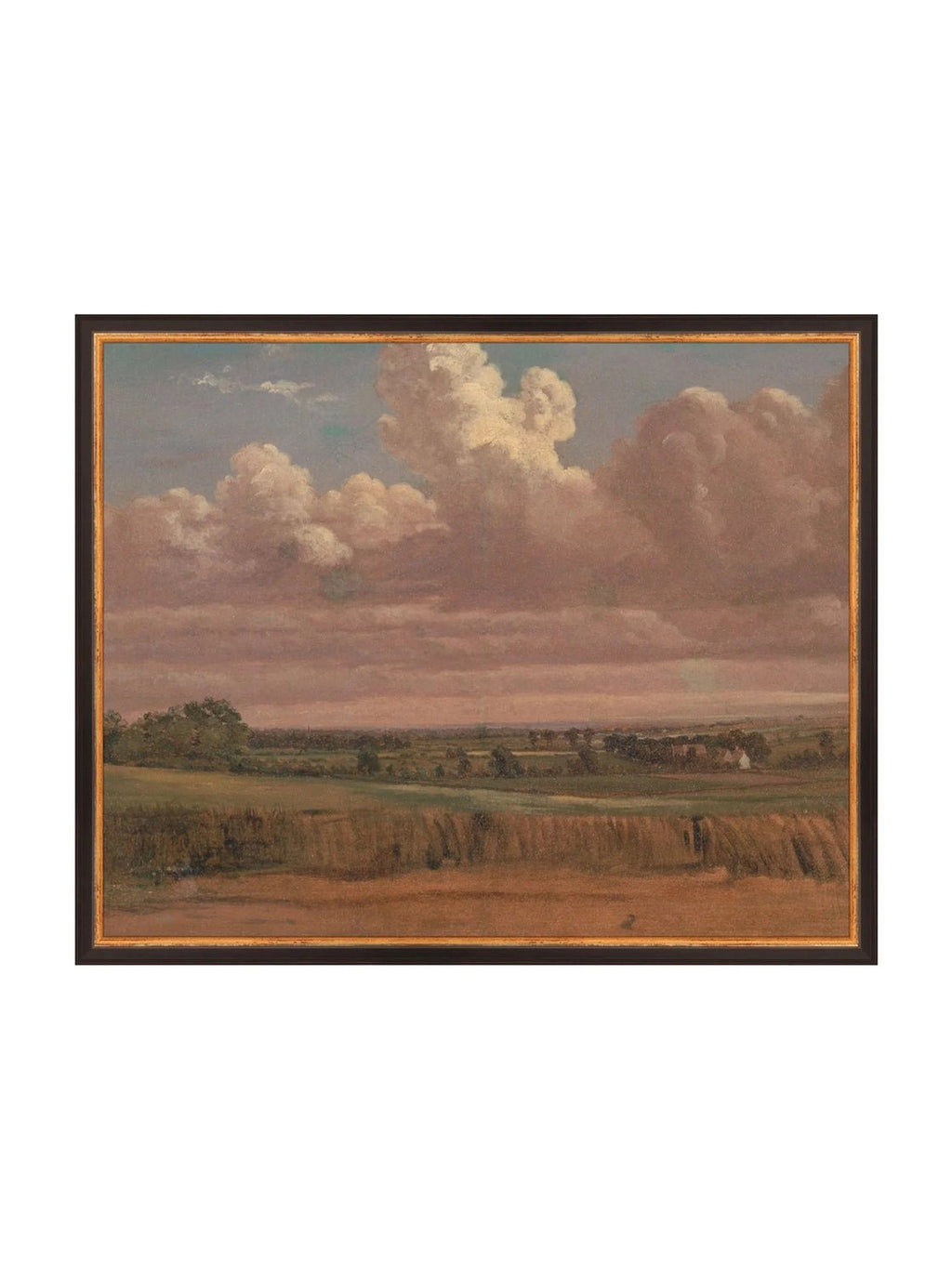 Prairie au crépuscule