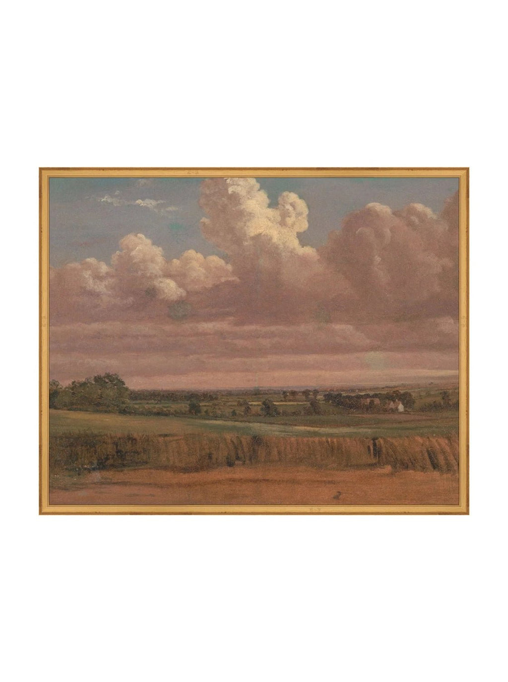 Prairie au crépuscule