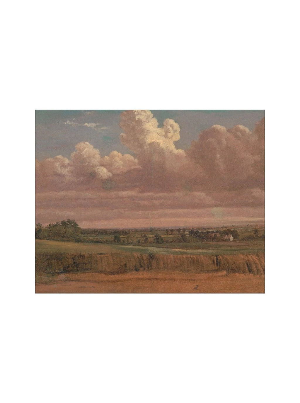 Prairie au crépuscule