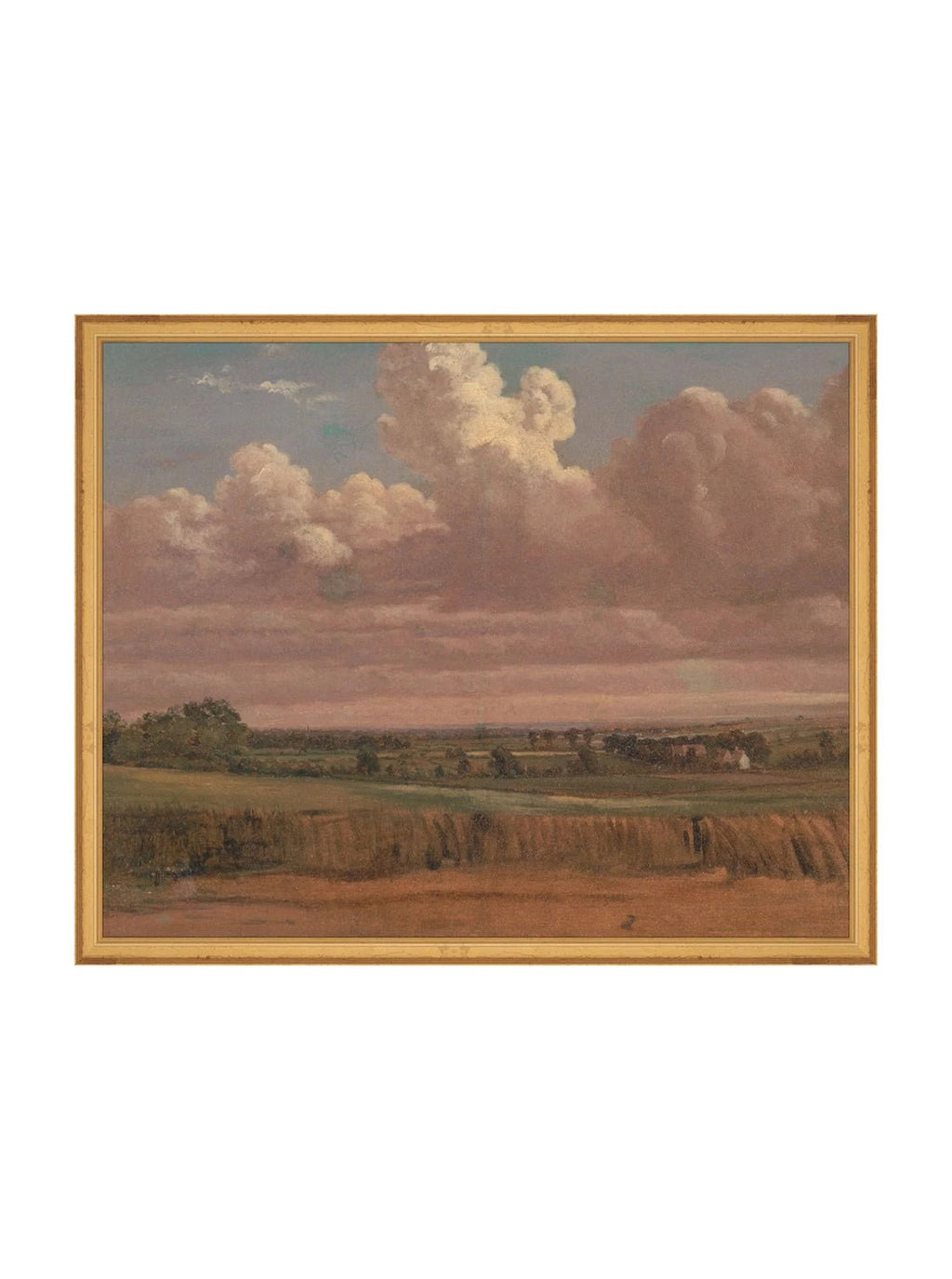 Prairie au crépuscule