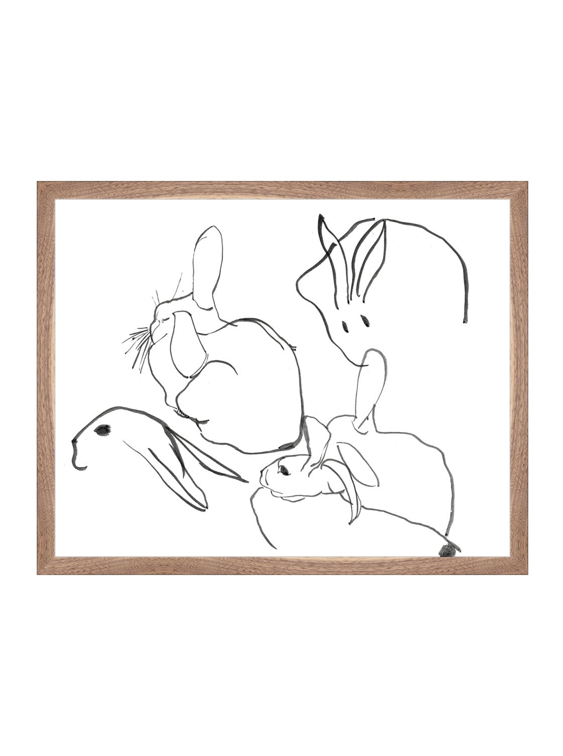 Étude sur les lapins