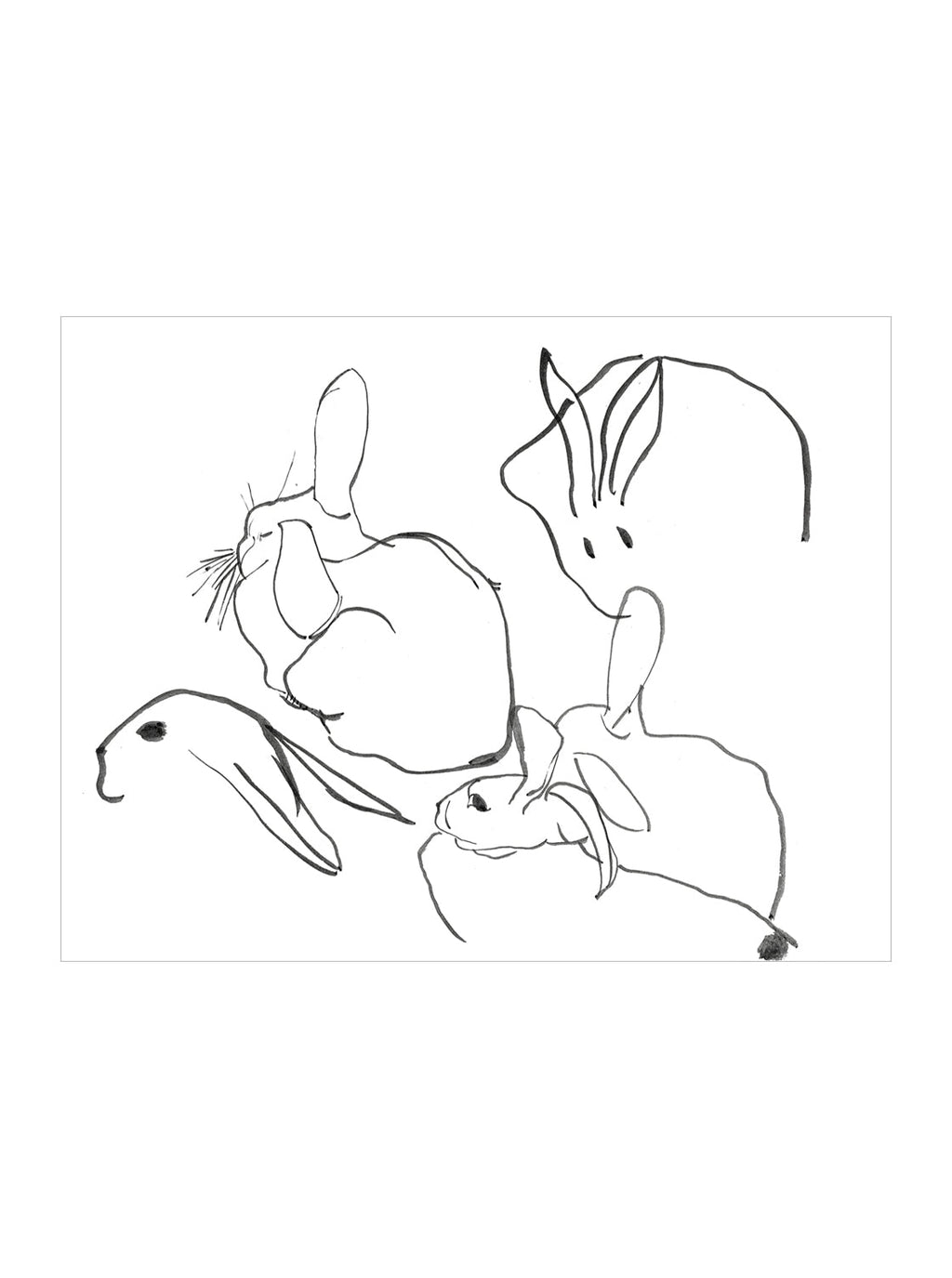 Étude sur les lapins