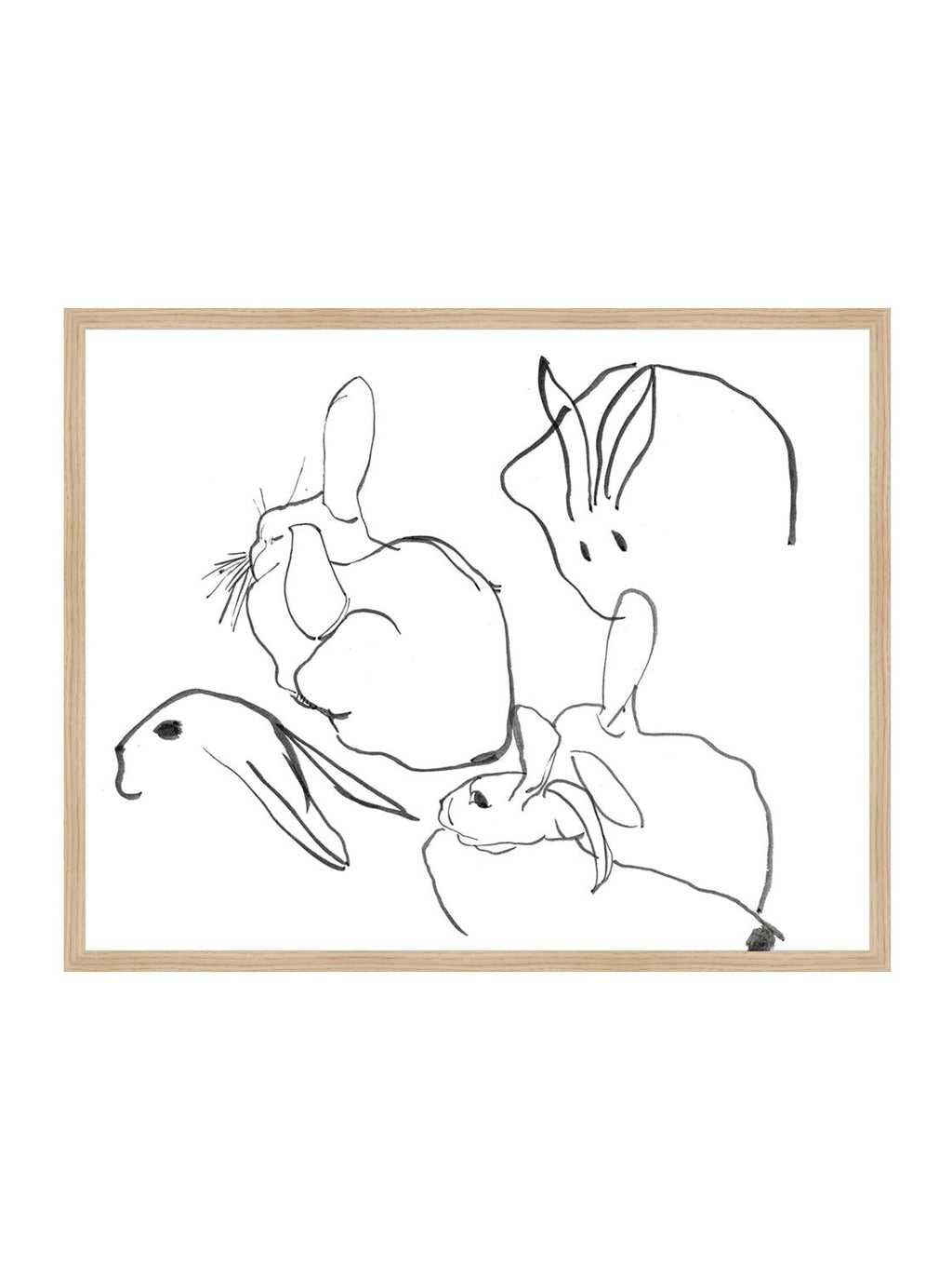 Étude sur les lapins