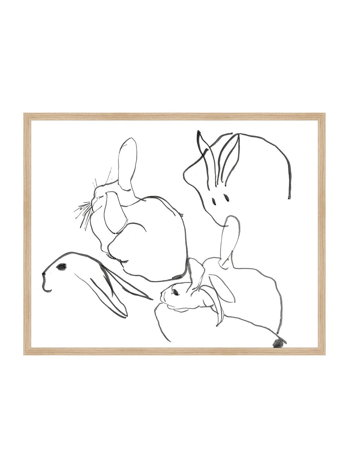 Étude sur les lapins