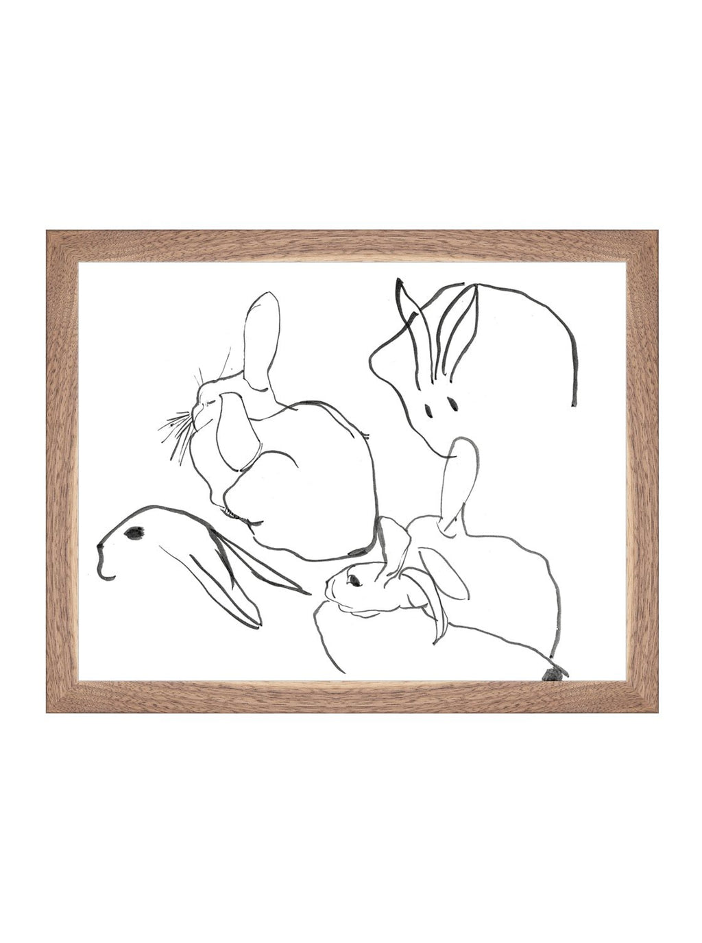 Étude sur les lapins