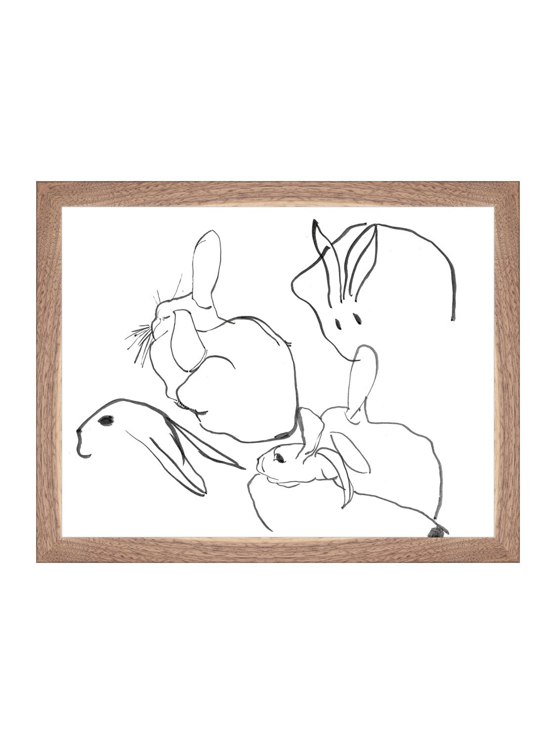 Étude sur les lapins