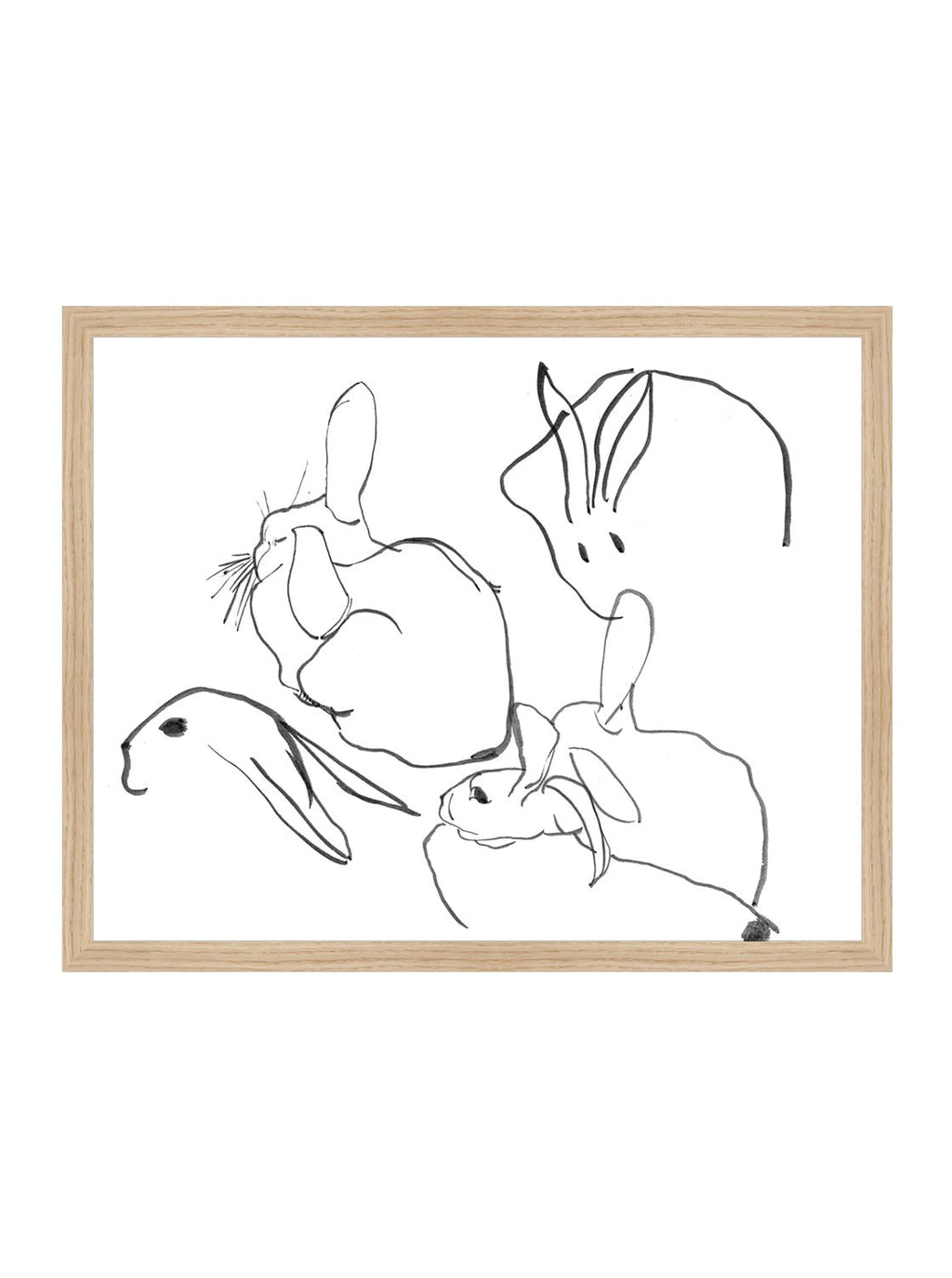 Étude sur les lapins