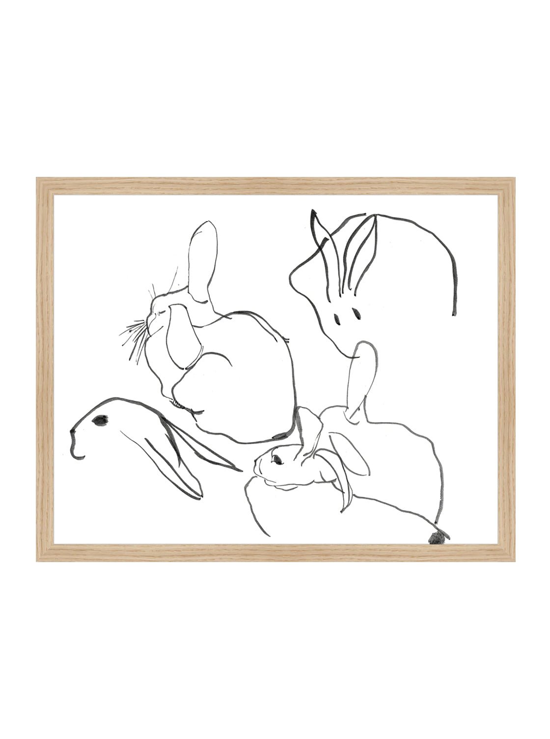 Étude sur les lapins