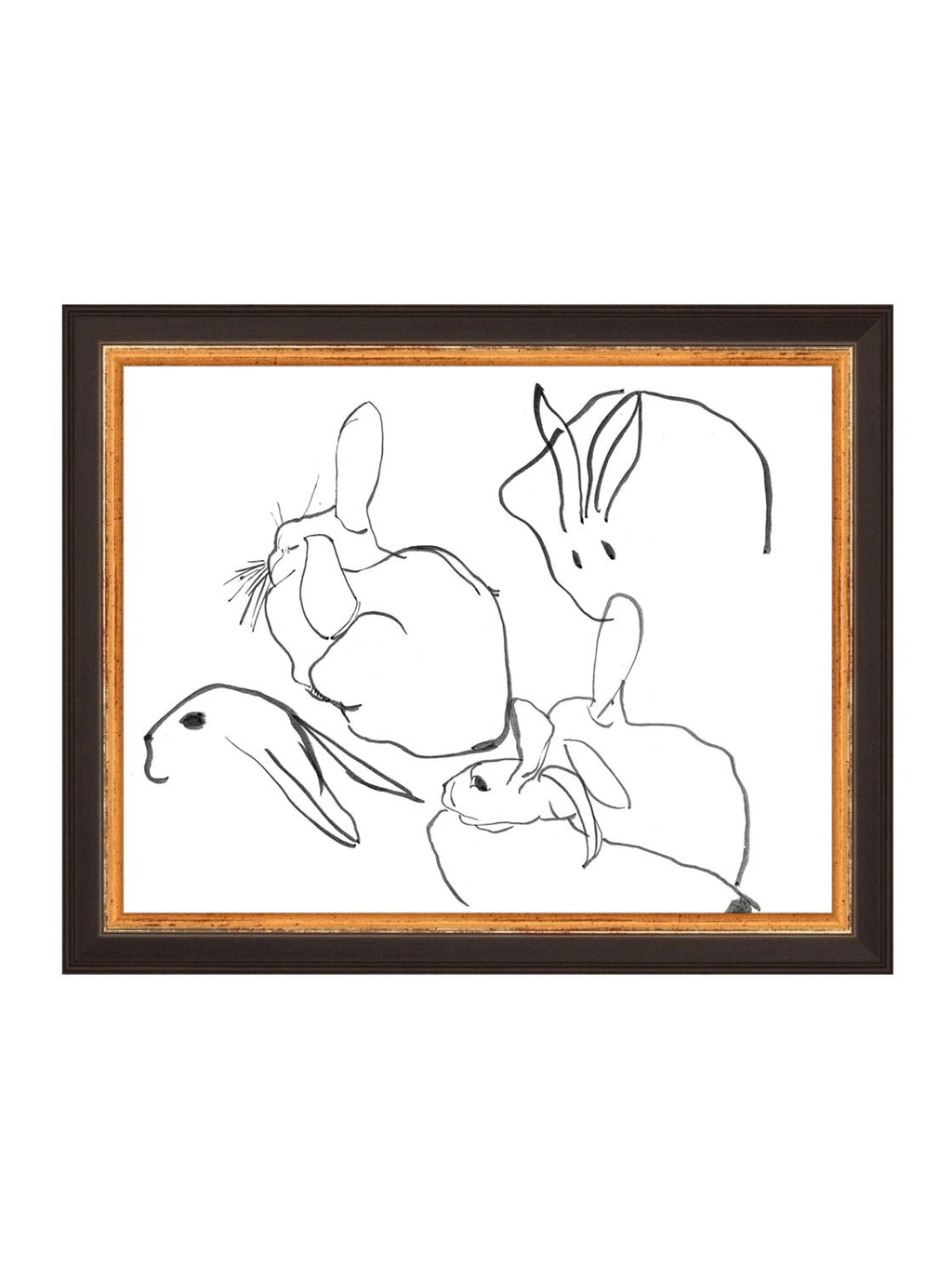 Étude sur les lapins