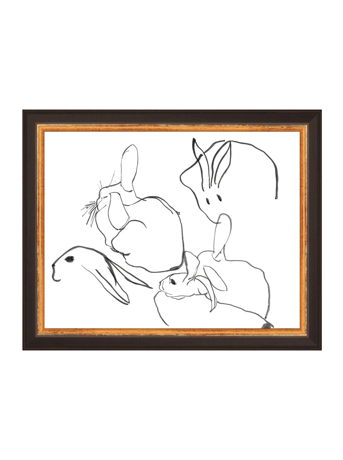 Étude sur les lapins