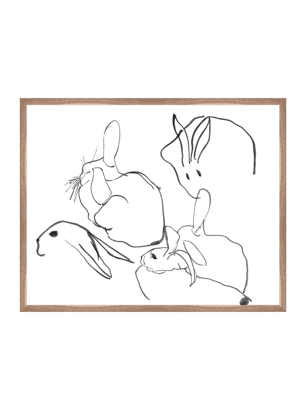 Étude sur les lapins