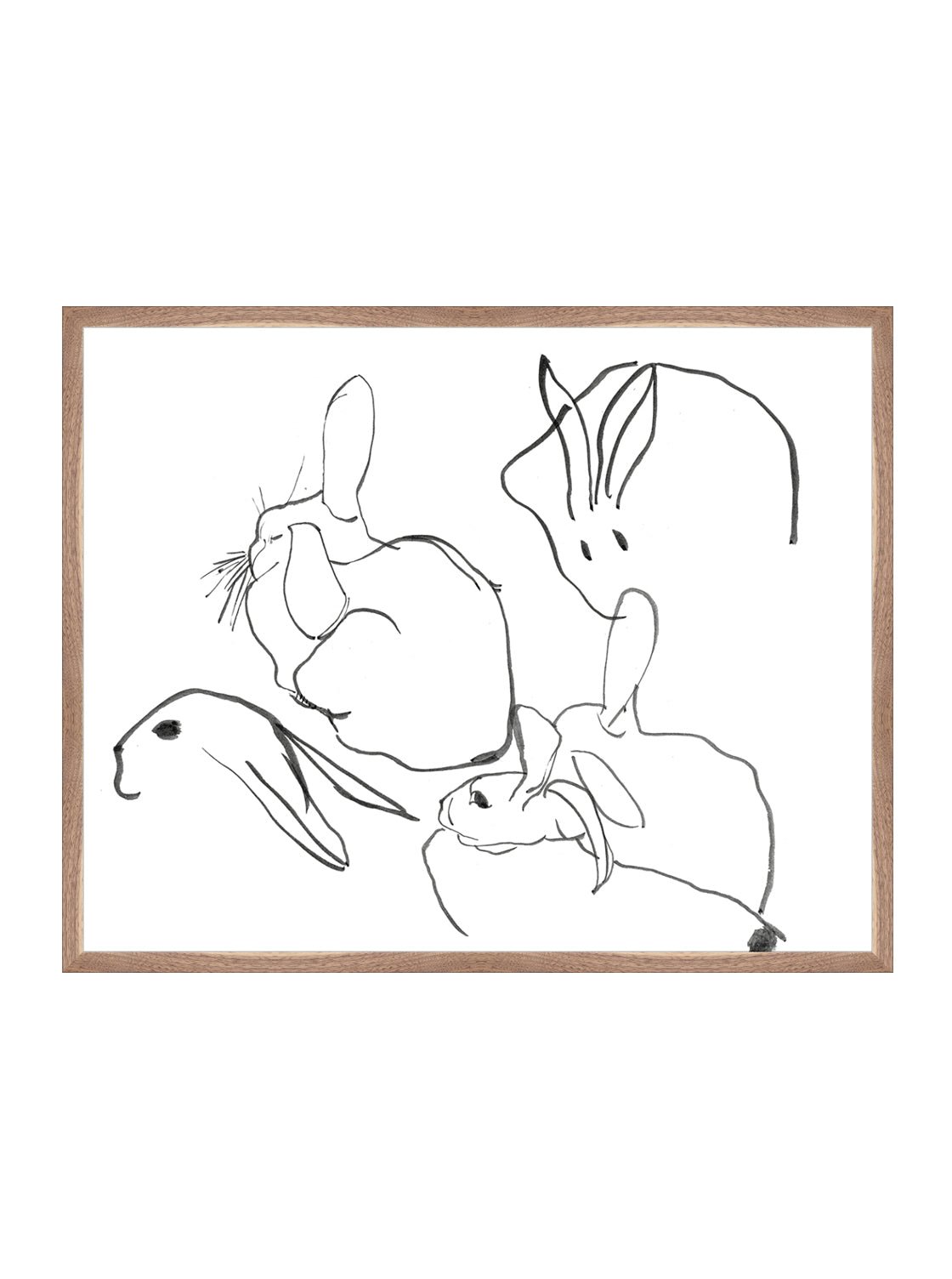 Étude sur les lapins