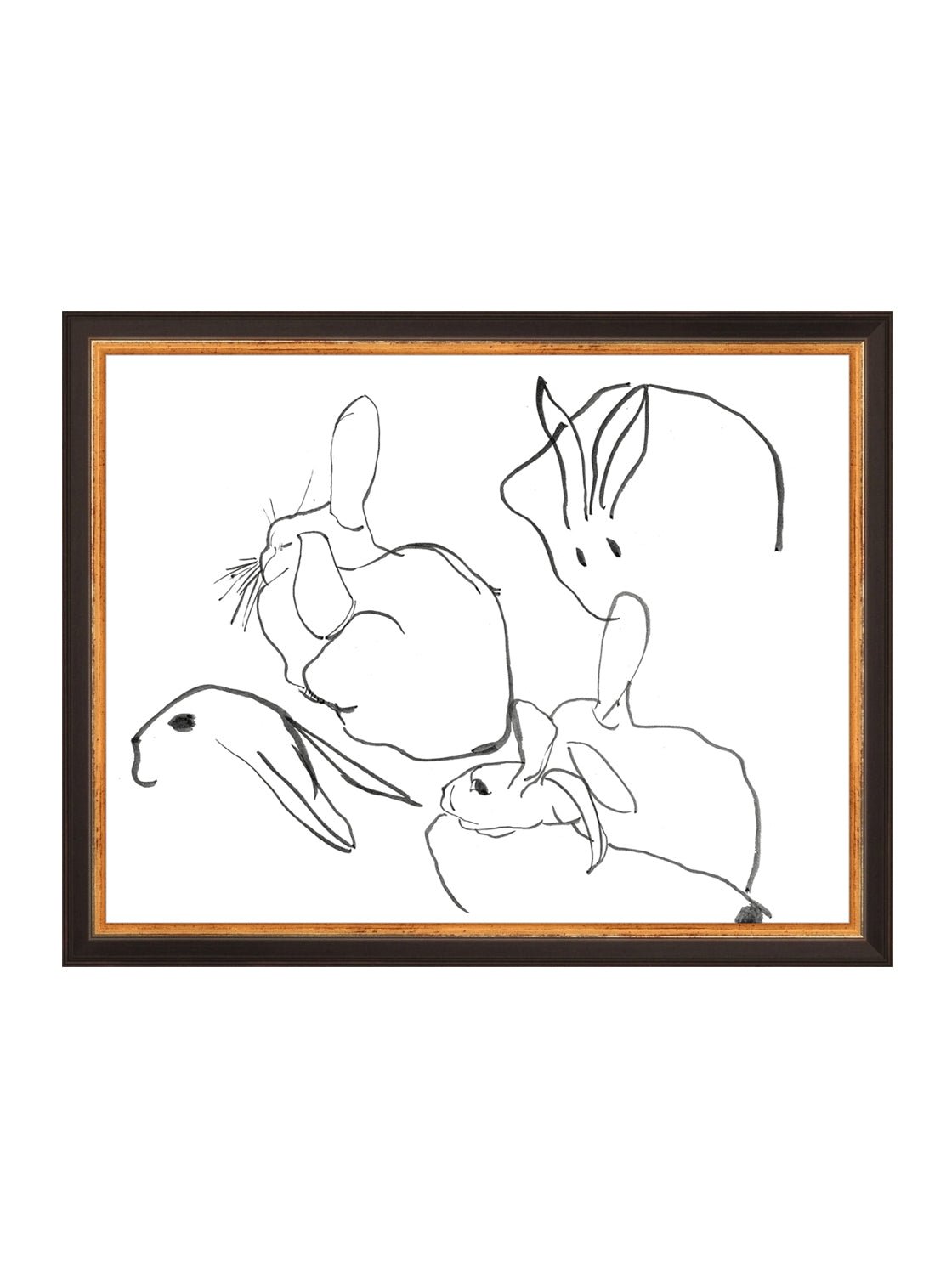 Étude sur les lapins