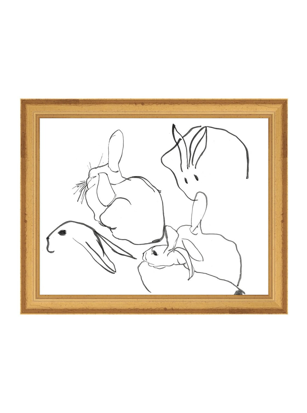 Étude sur les lapins