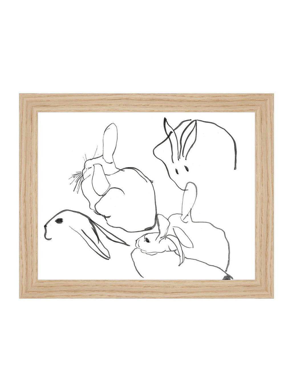 Étude sur les lapins