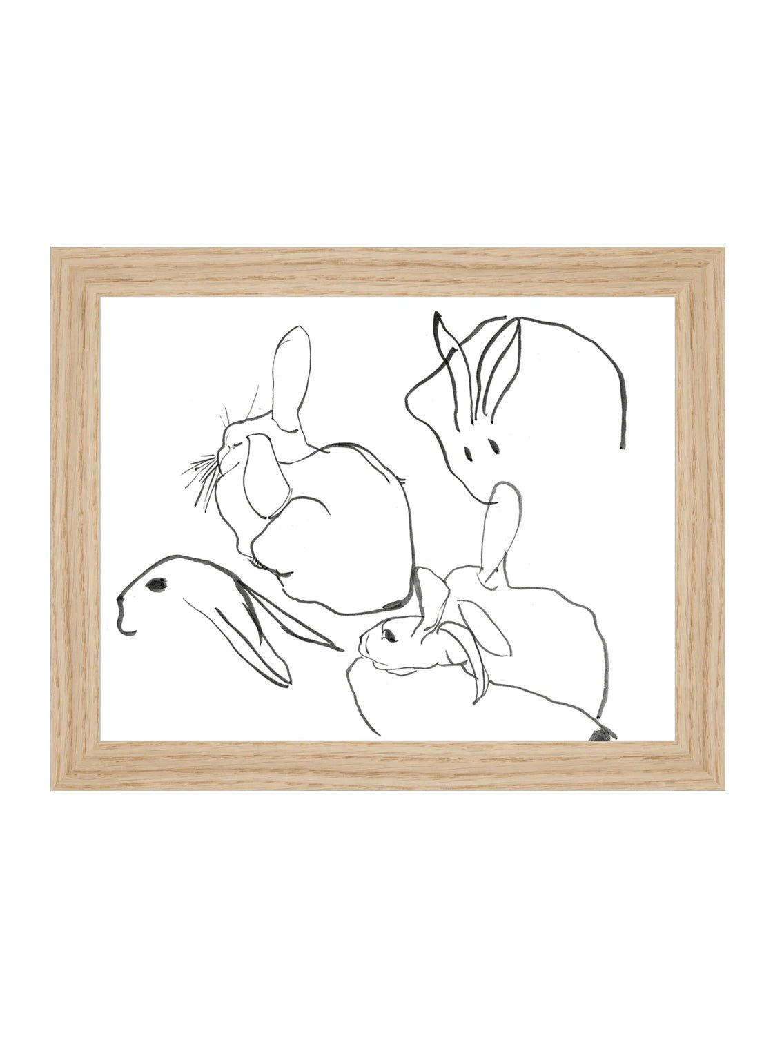 Étude sur les lapins