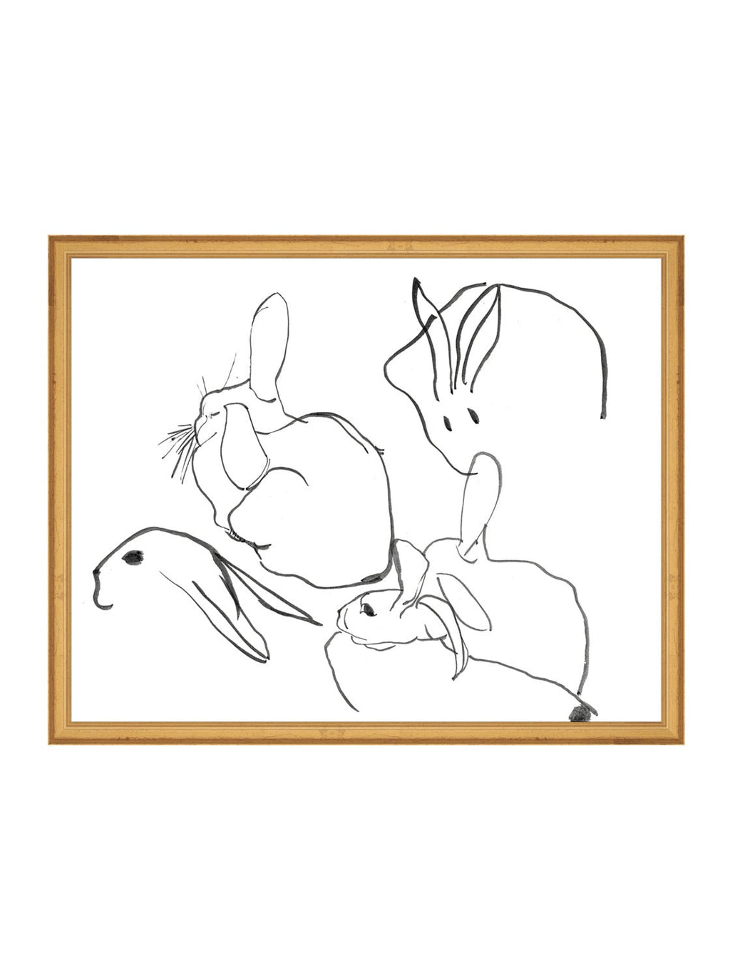 Étude sur les lapins