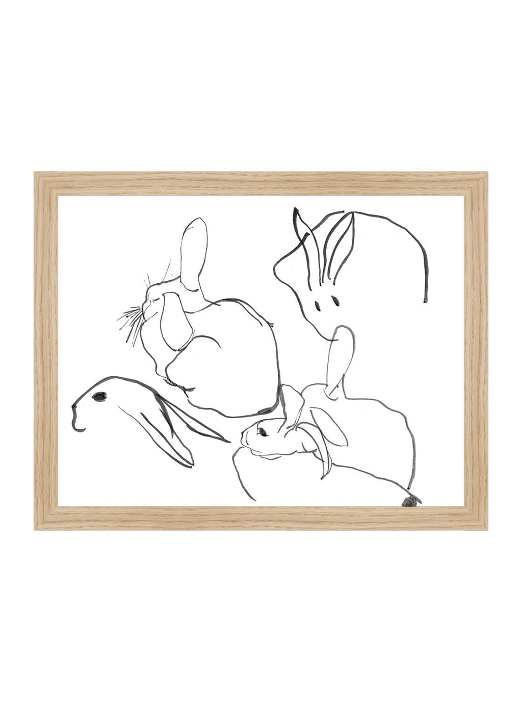 Étude sur les lapins