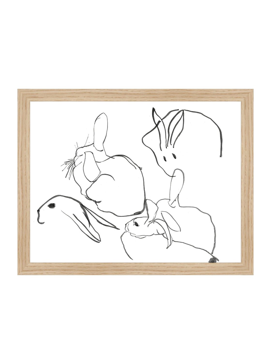 Étude sur les lapins