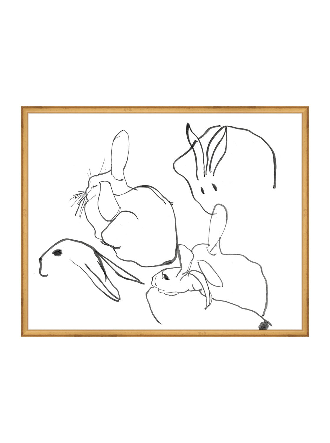 Étude sur les lapins