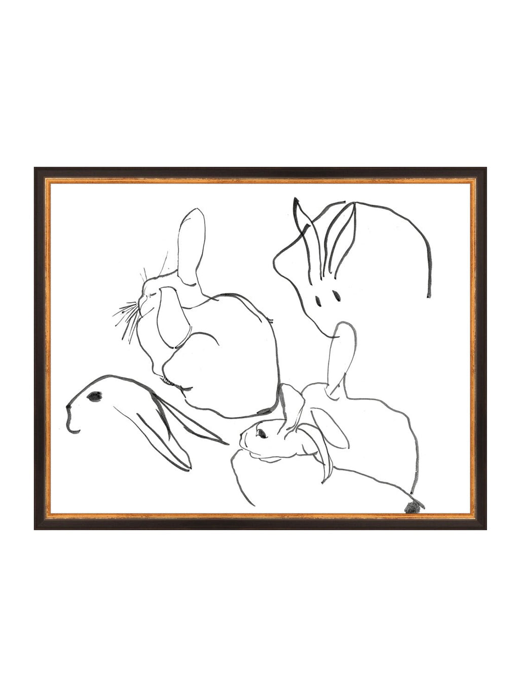 Étude sur les lapins