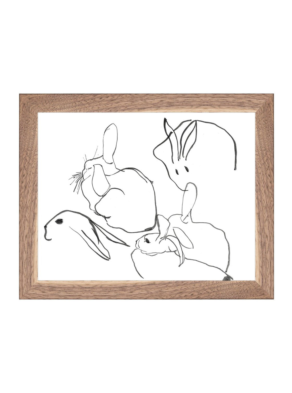 Étude sur les lapins