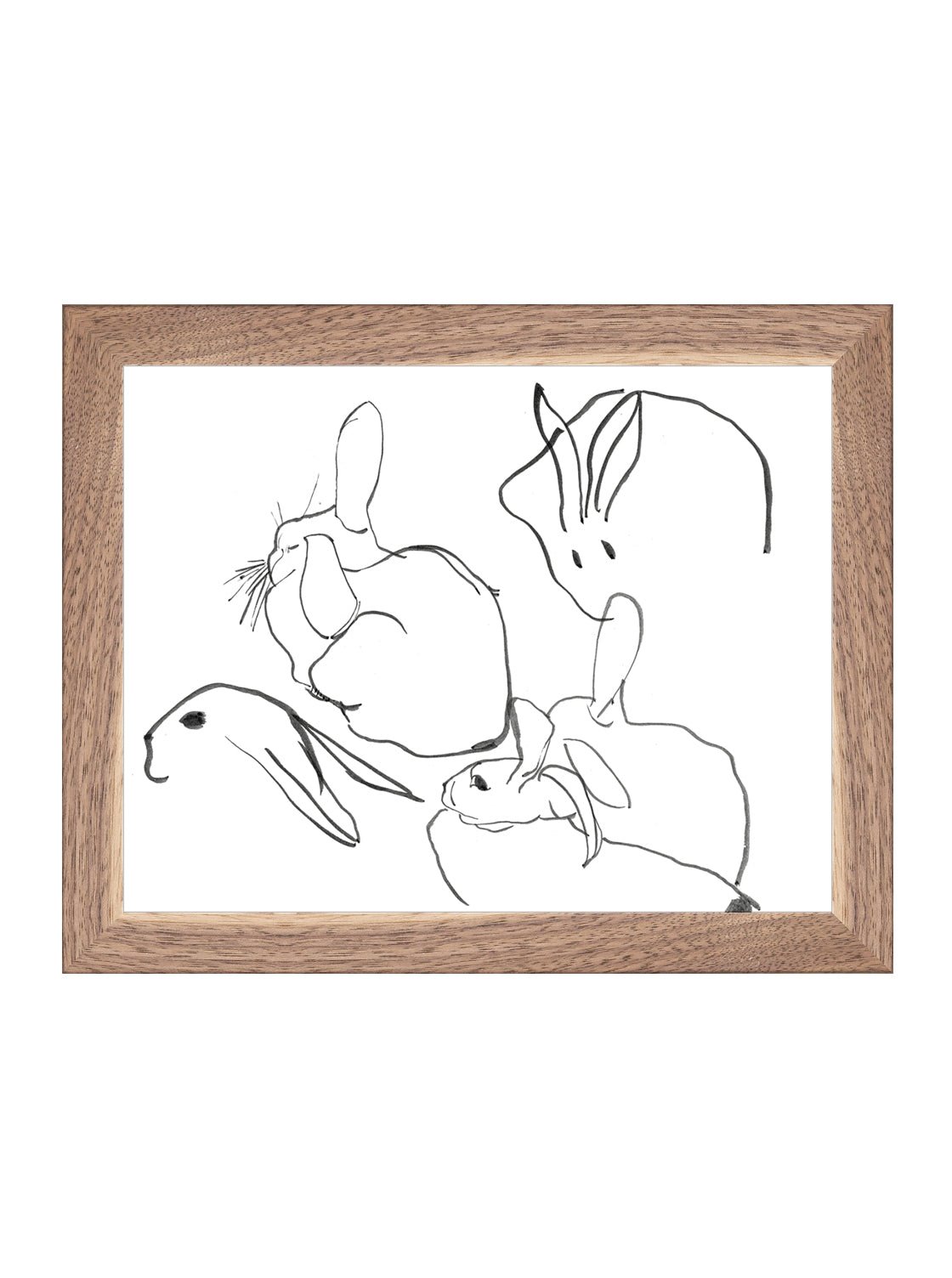 Étude sur les lapins