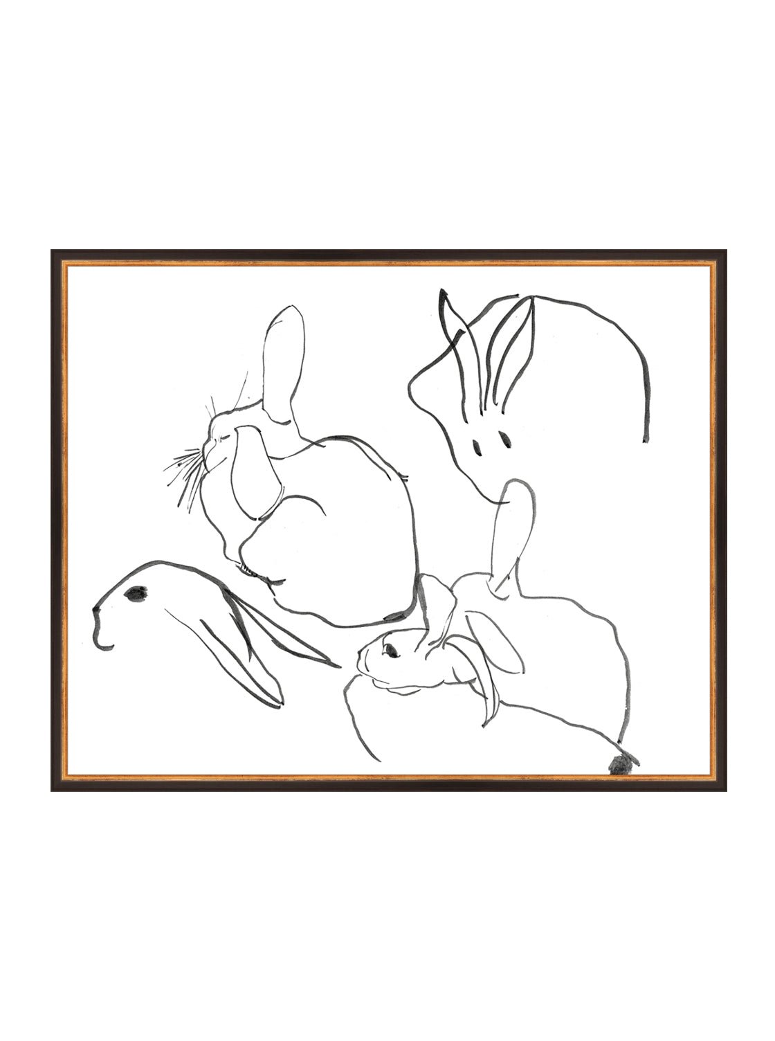 Étude sur les lapins