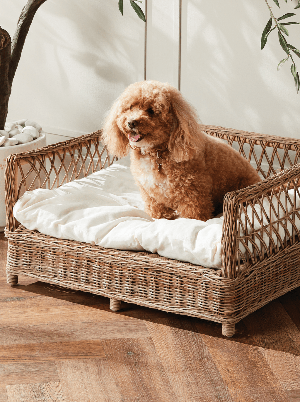 Lit pour animaux en rotin