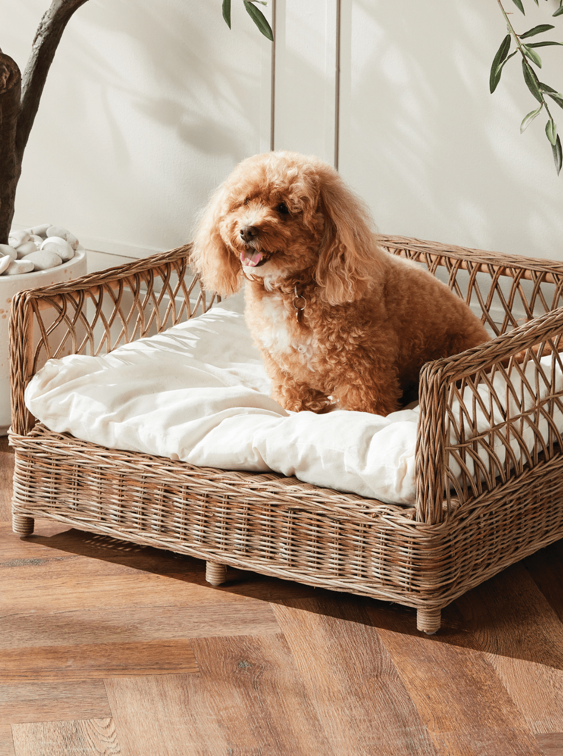 Lit pour animaux en rotin