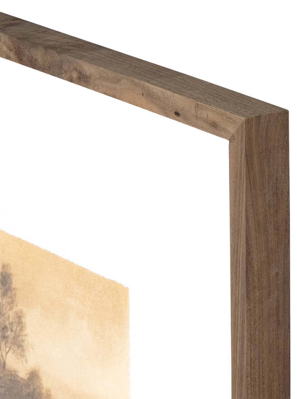 Savanna III Landscape Framed Wall Art In Walnut Frame With Bronze Accents Inspired By Texas Hill Country Impressionism