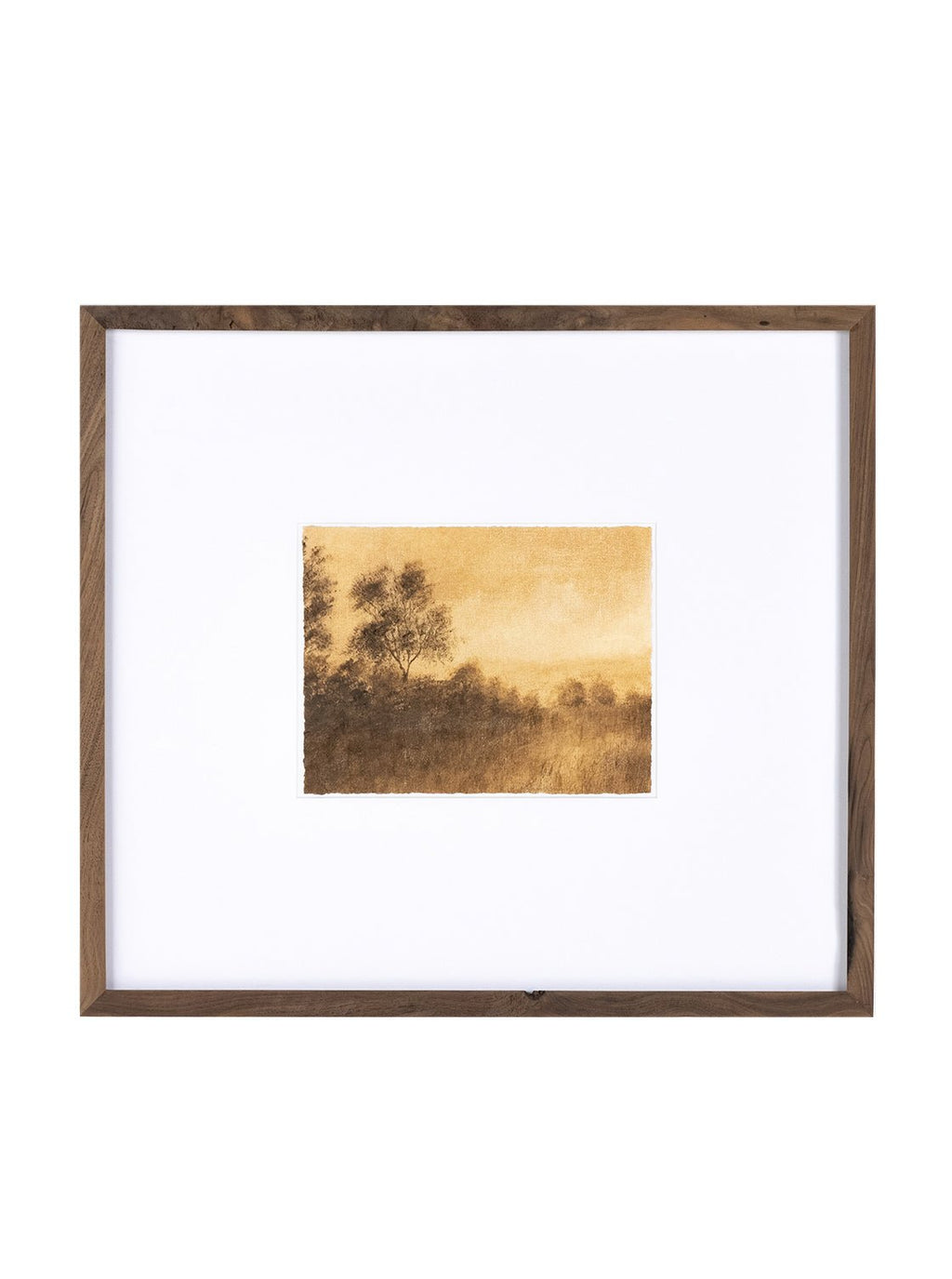 Savanna III Landscape Framed Wall Art In Walnut Frame With Bronze Accents Inspired By Texas Hill Country Impressionism