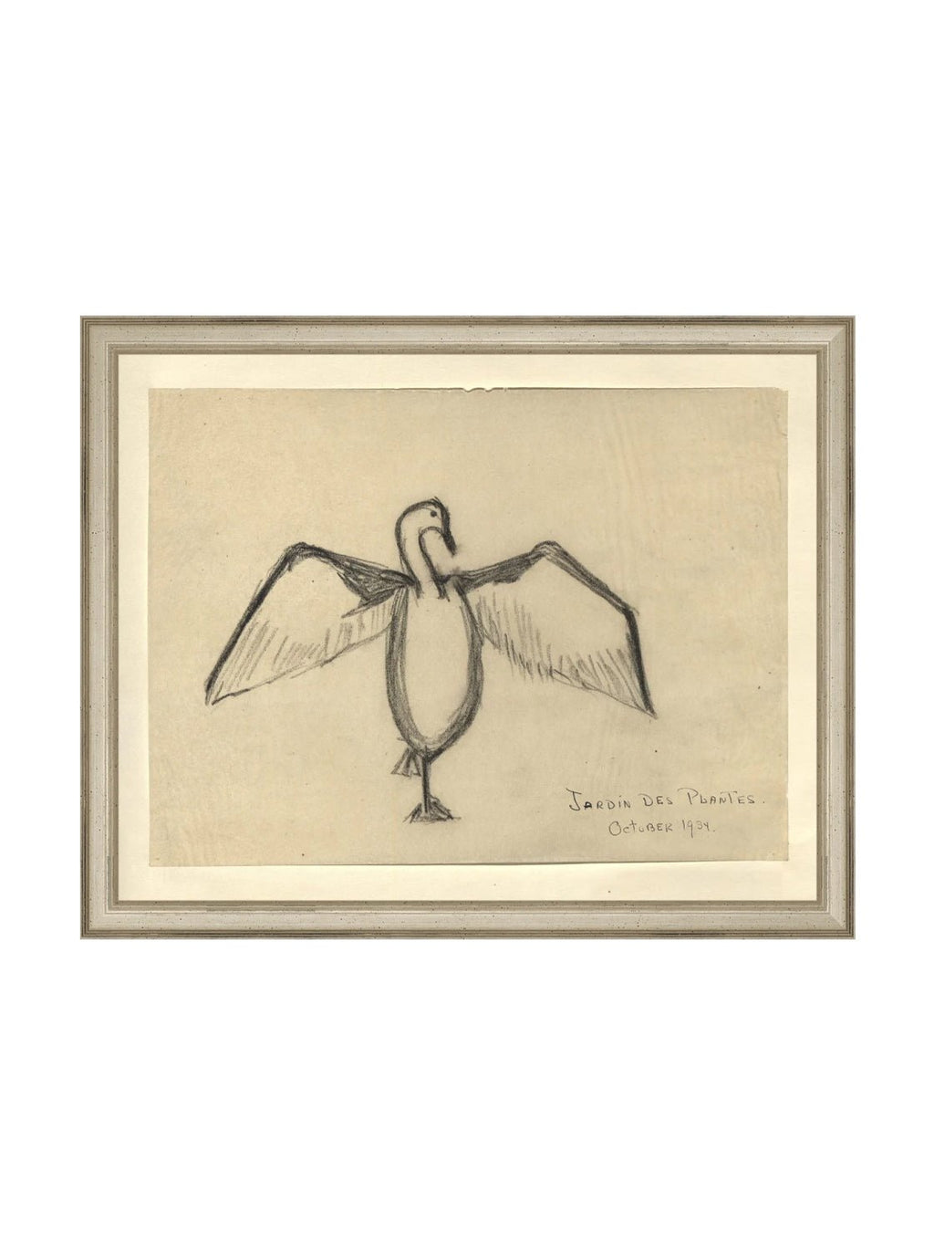 Croquis de corbeau marin