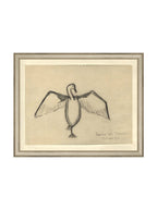 Croquis de corbeau marin