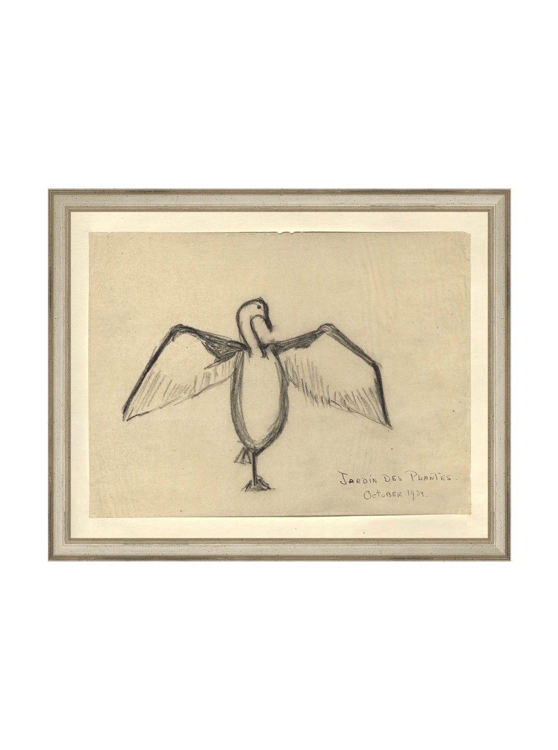 Croquis de corbeau marin